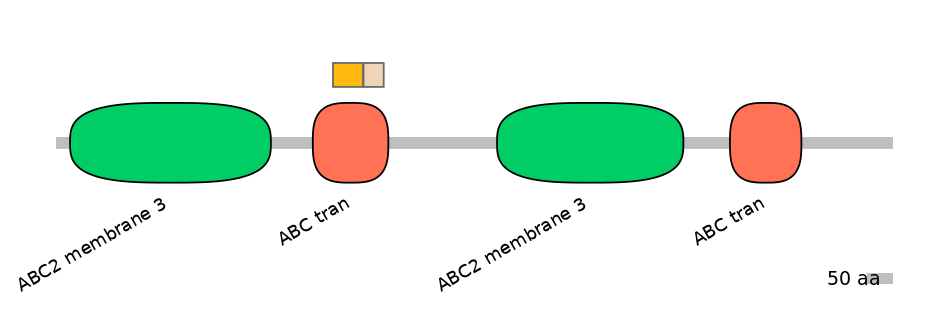 HsaINT0000748-EXC