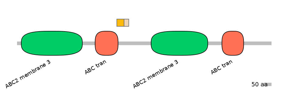 HsaINT0000750-EXC