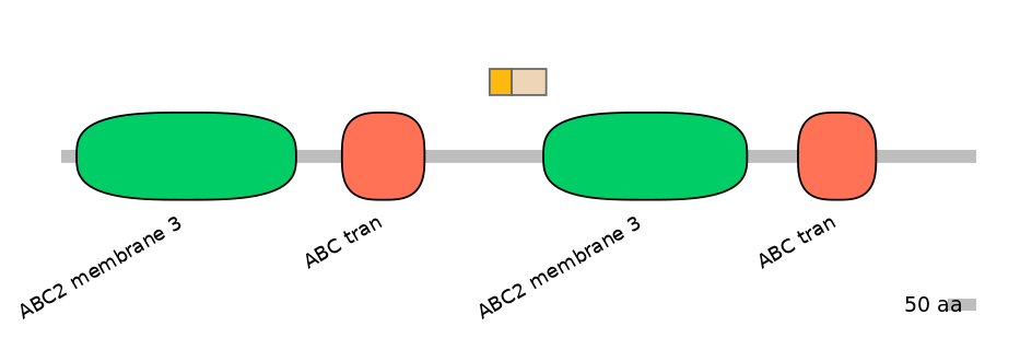 HsaINT0000753-EXC