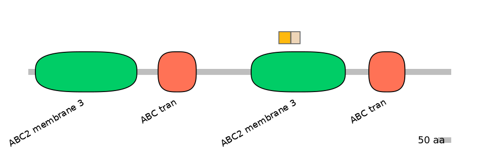 HsaINT0000758-EXC