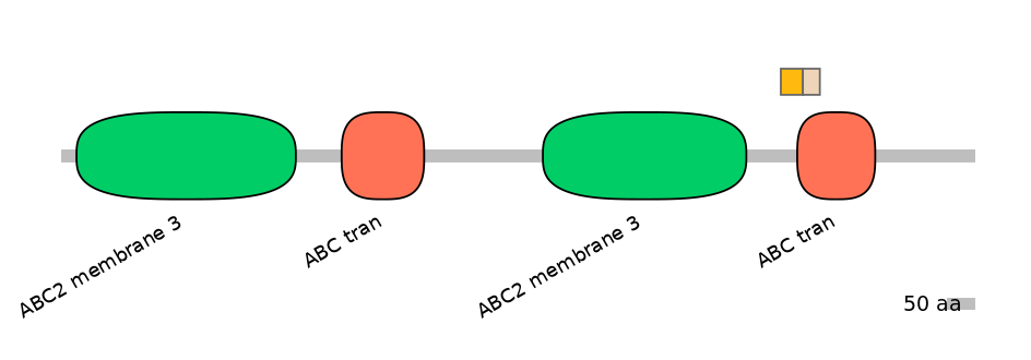 HsaINT0000767-EXC