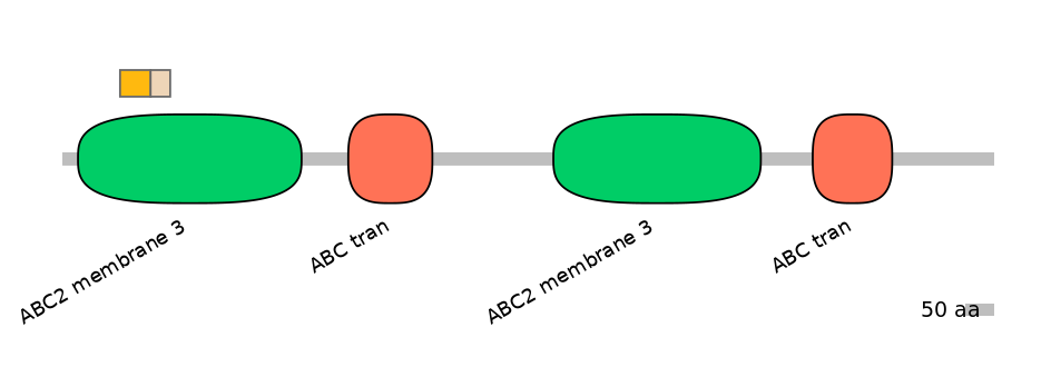 HsaINT0000776-EXC