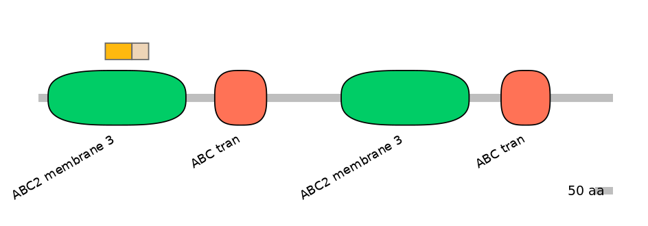 HsaINT0000778-EXC
