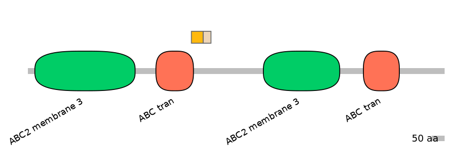 HsaINT0000833-EXC