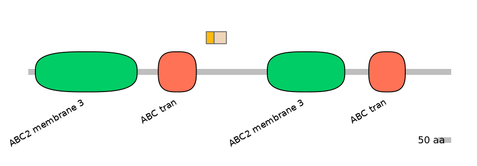 HsaINT0000834-EXC