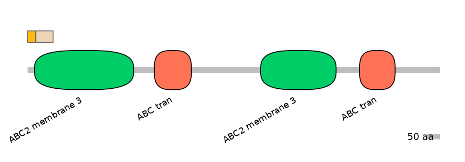 HsaINT0000839-EXC