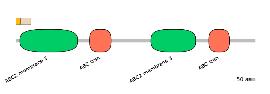 HsaINT0000876-EXC