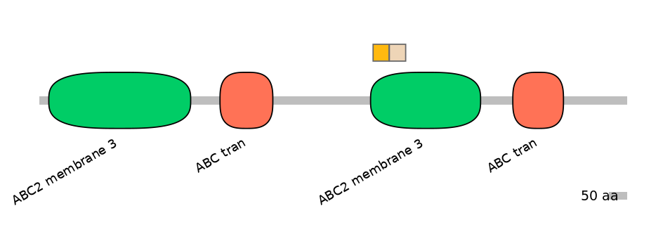 HsaINT0000878-EXC