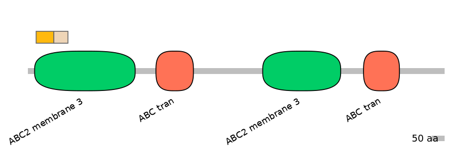 HsaINT0000887-EXC