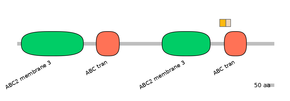 HsaINT0000888-EXC