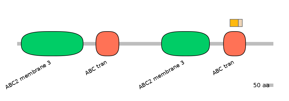 HsaINT0000890-EXC