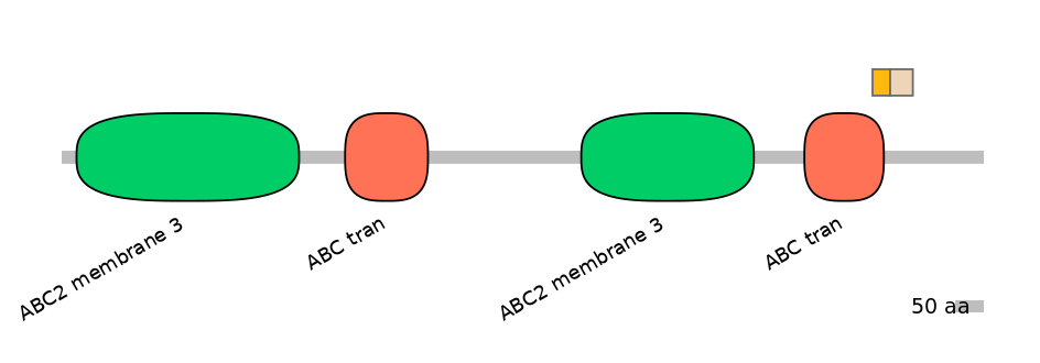 HsaINT0000892-EXC