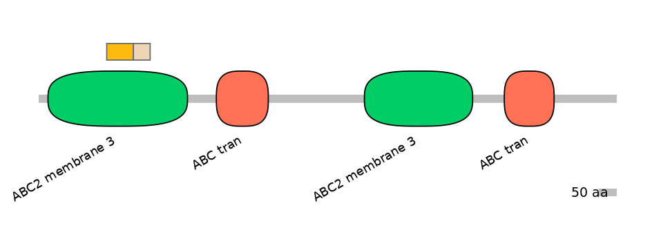 HsaINT0000899-EXC