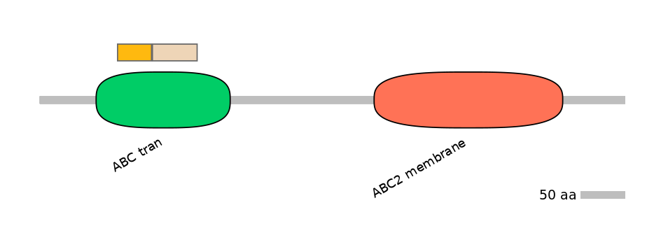 HsaINT0001576-EXC
