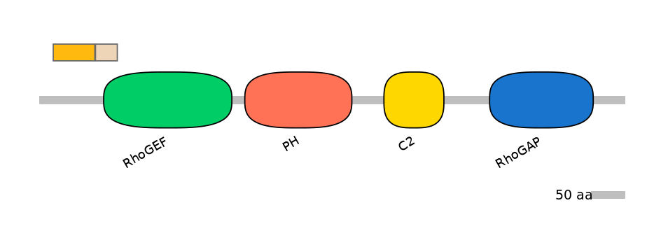HsaINT0001891-EXC