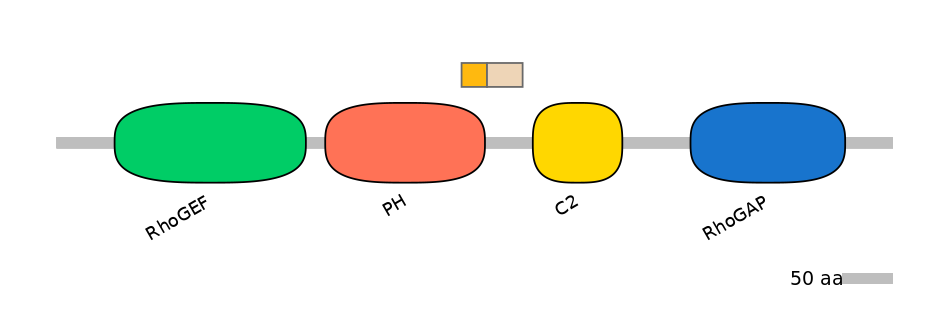 HsaINT0001893-EXC