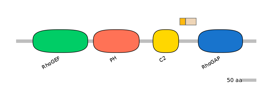 HsaINT0001898-EXC