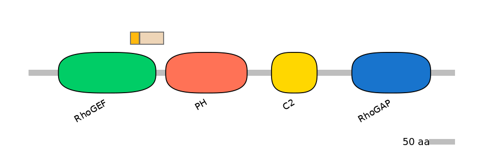 HsaINT0001908-EXC