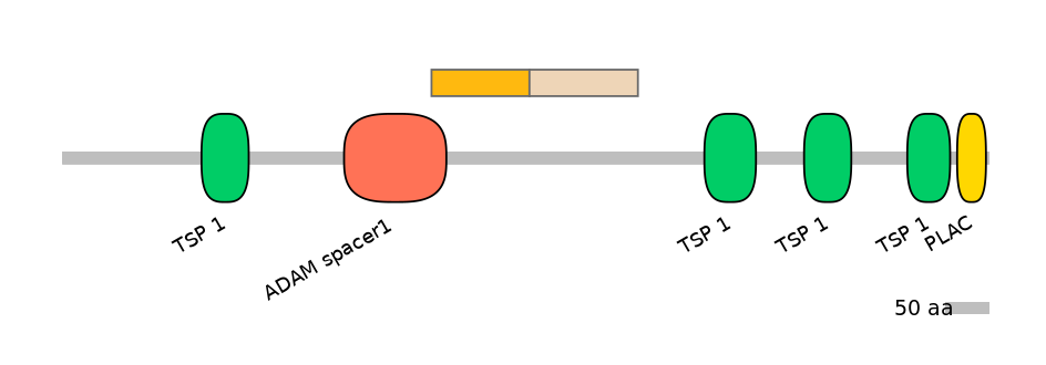 HsaINT0004309-EXC