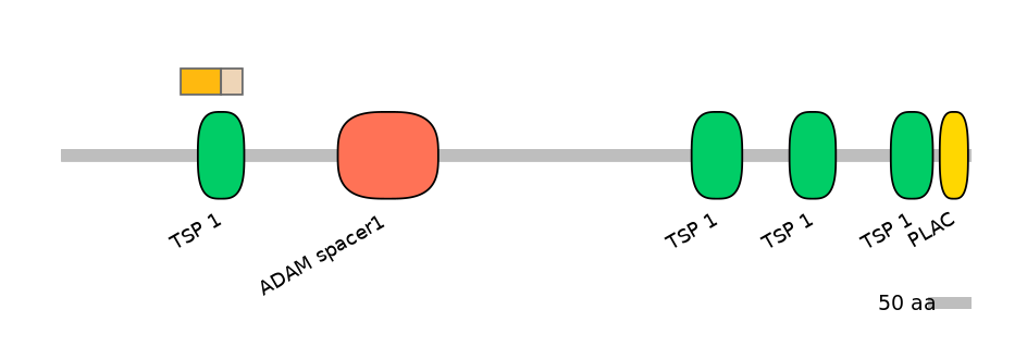HsaINT0004311-EXC