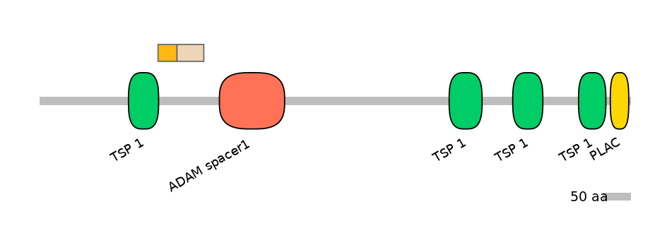 HsaINT0004313-EXC