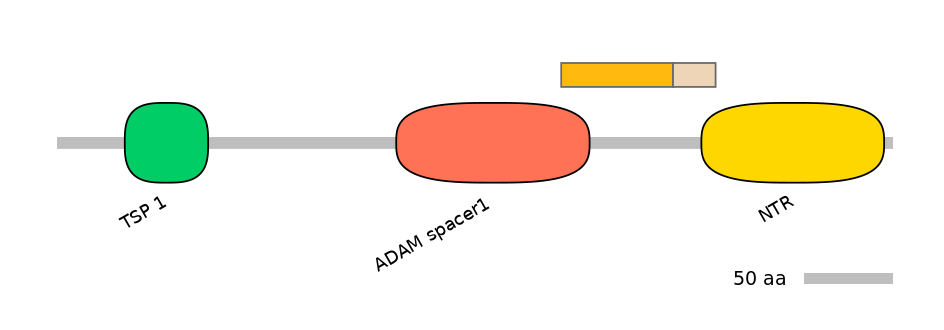 HsaINT0004365-EXC