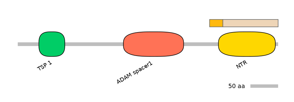 HsaINT0004366-EXC