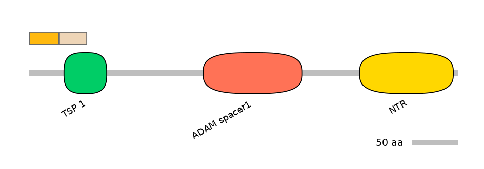 HsaINT0004367-EXC