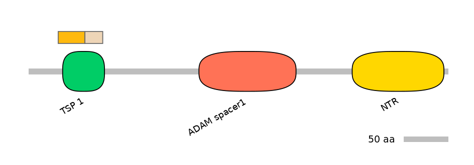 HsaINT0004368-EXC