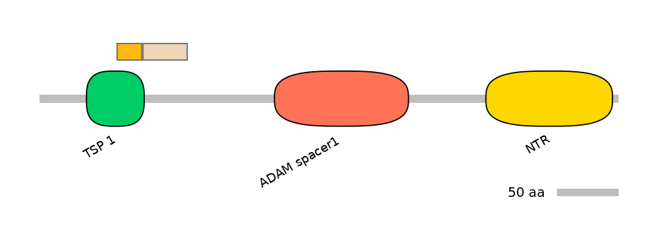 HsaINT0004369-EXC