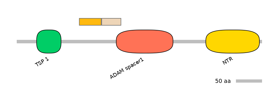 HsaINT0004371-EXC