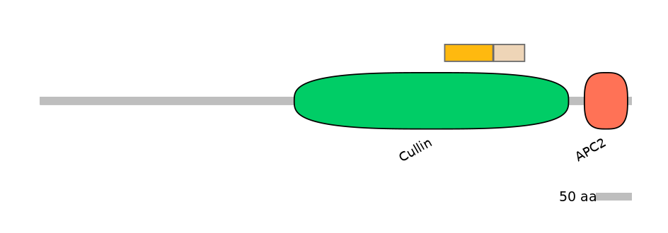 HsaINT0007883-EXC