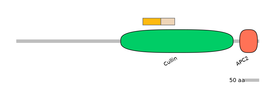 HsaINT0007891-EXC