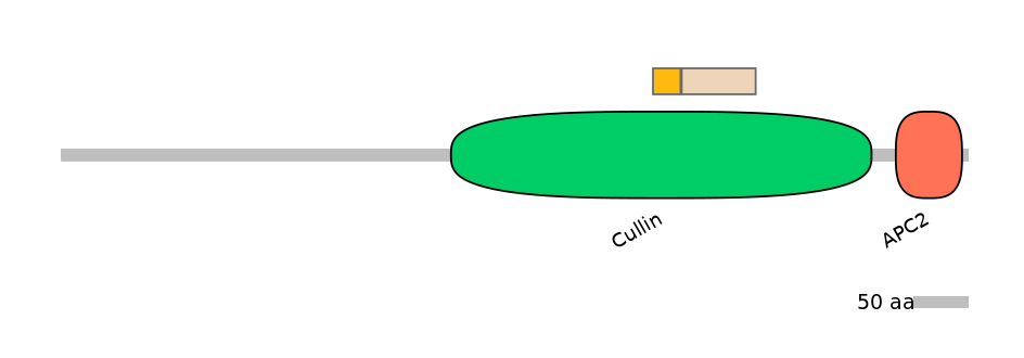 HsaINT0007893-EXC