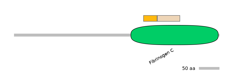 HsaINT0007988-EXC
