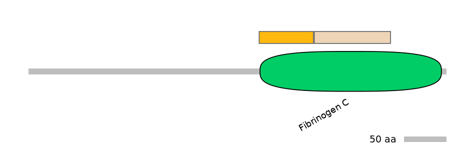 HsaINT0007998-EXC