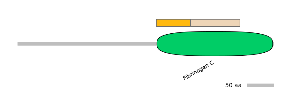 HsaINT0008024-EXC
