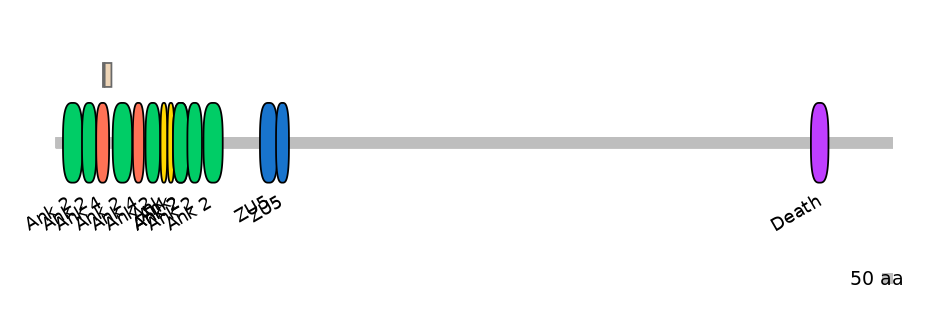 HsaINT0008121-EXC