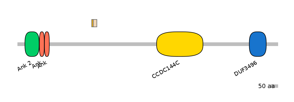 HsaINT0008643-EXC