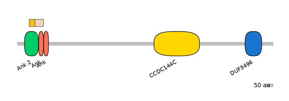 HsaINT0008649-EXC