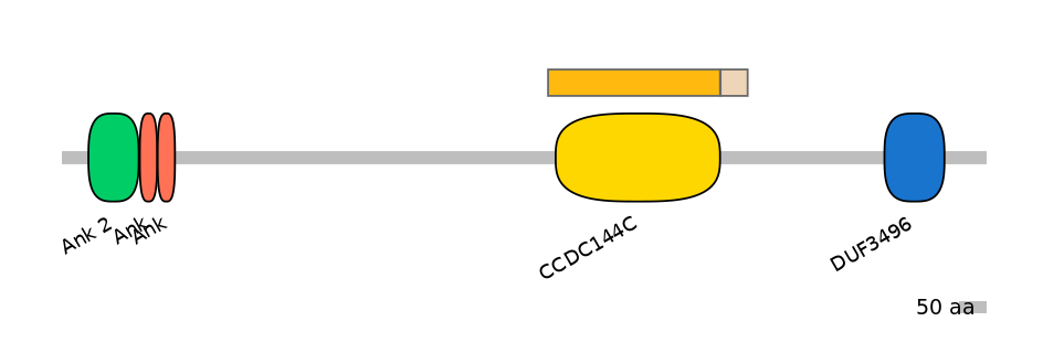 HsaINT0008654-EXC