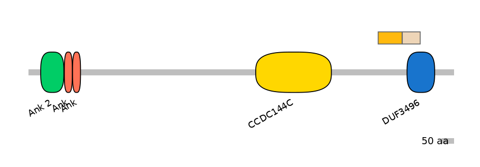 HsaINT0008661-EXC