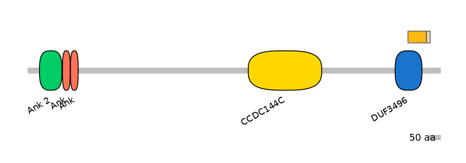 HsaINT0008663-EXC