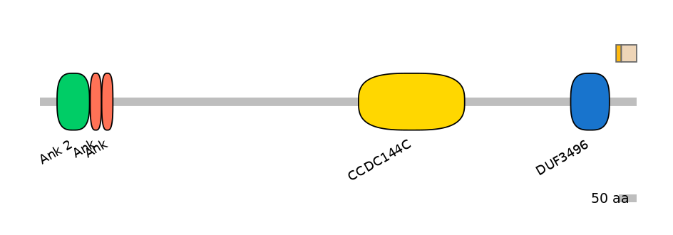 HsaINT0008664-EXC
