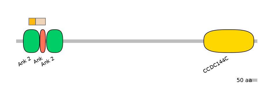 HsaINT0008797-EXC