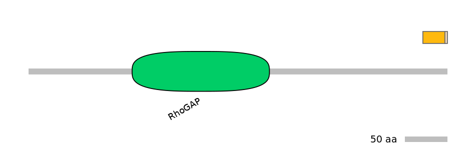 HsaINT0011340-EXC