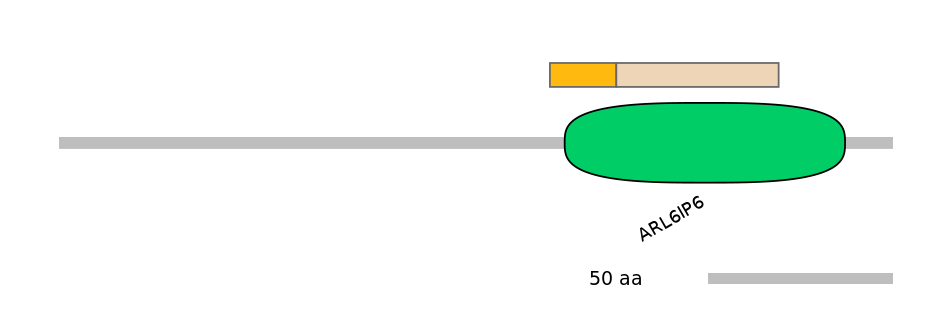 HsaINT0012446-EXC
