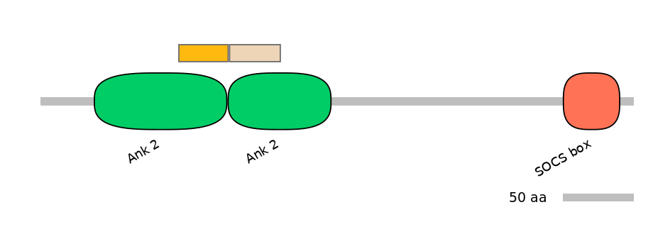HsaINT0013199-EXC