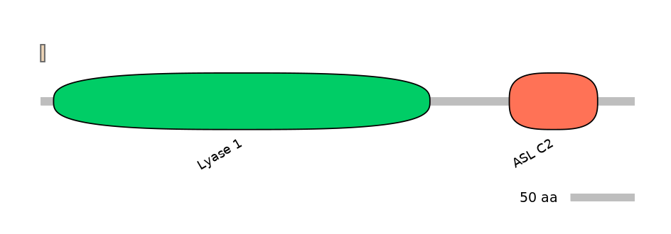 HsaINT0013355-INC