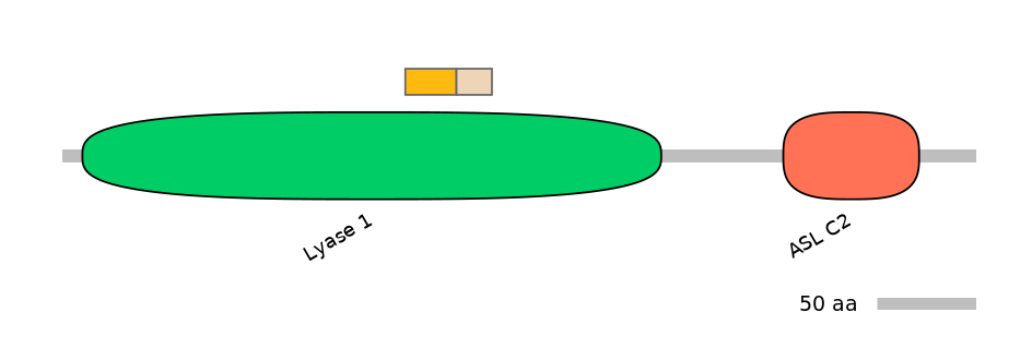 HsaINT0013369-EXC